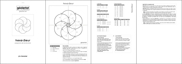 programme hexa-fleur